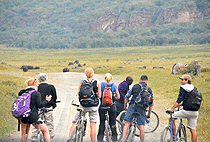 Hells Gate National Park Lake Naivasha 1 Day Tour