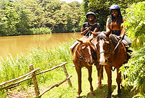 Nairobi Horse Riding Day Tour Kawamwaki Farm Limuru