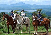 Horseback Riding Safaris Naivasha Hellsgate 1 2 3 Days