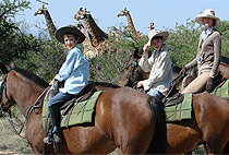 Horseback Riding Safaris Naivasha Hellsgate 1 2 3 Days