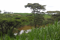 Nairobi Horse Riding Day Tour Kawamwaki Farm Limuru