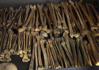 Kigali Rwanda 1 Day Trips Excursions Safaris Kigali Genocide Memorial Centre Tour - Rwanda 