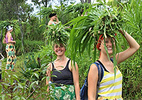 Kigali Rwanda 1 Day Trips Excursions Safaris Kigali Rwandese Cultural Day Tour  Muhanga Town