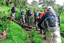 Mount Meru Climbing Trekking Trip Tanzania
