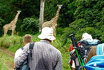 4 Days 3 Nights Mount Meru Trekking Trip Arusha Tanzania Safari