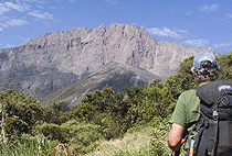 4 Days 3 Nights Mount Meru Trekking Trip Arusha Tanzania Safari