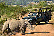 Nairobi Park Baby Elephants Giraffe Centre Karen Blixen Museum Tour