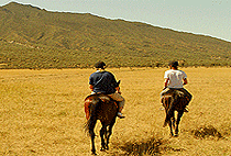 Horseback Riding Safaris Naivasha Hellsgate 1 2 3 Days