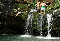 Ngare Ndare Forest Hiking Day Trip 