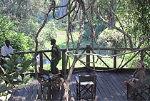 Ngare Ndare Forest Hiking Day Trip 