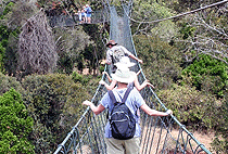 Ngare Ndare Forest Hiking Day Trip 