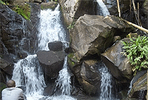 Nairobi Hiking Tour 5 KM Oloolua Nature Trail Karen