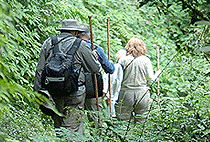 2 Days Rwanda Safari Holidays Wildlife Tours