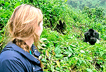 2 Days Rwanda Safari Holidays Wildlife Tours