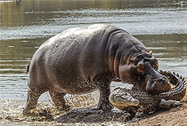 Akagera National Park Day Trip Safari Kigali