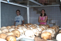 1 Day Kigali City Tour Rwanda