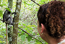 Jozani Forest Zanzibar Butterfly Centre Zala Park Day Tour