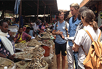 1 Day Kigali City Tour Rwanda