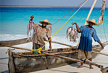 Matemwe Village Day Tour Zanzibar North East Coast