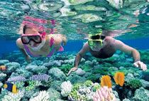 Zanzibar Snorkeling Diving Full Day Tour Mnemba Atoll 