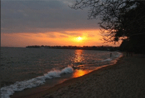 Rwanda Gorilla Trekking Safaris Holiday Tours