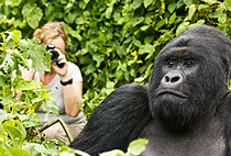 Rwanda Gorilla Trekking Safaris Holiday Tours