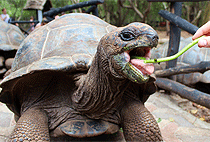 Jozani Forest Zanzibar Butterfly Centre Zala Park Day Tour