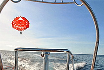 Zanzibar Parasailing Experience Paragliding Tours