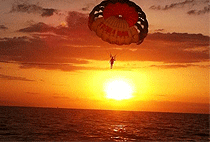 Zanzibar Parasailing Experience Paragliding Tours