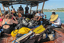 Zanzibar Snorkeling Diving Full Day Tour Mnemba Atoll 