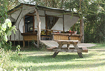 Camp Carnellys Lake Naivasha Kenya