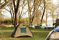 Camp Carnellys Lake Naivasha Kenya