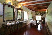 Dodos Folly Tower Luxury Retreat Naivasha