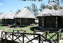 Dove Nest Lodge Naivasha 