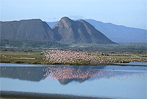 Hiking Sleeping Warrior Ugali Hills Lake Elementaita Day Trip