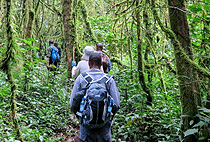 2 Day Sezibwa Mabira River Nile Source Sipi Falls Tour  2 Day Sezibwa Mabira River Nile Source Sipi Falls Tour