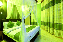 Olive Resort Lake Naivasha