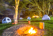 Oloiden Camping Site Naivasha