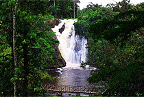 2 Day Sezibwa Mabira River Nile Source Sipi Falls Tour  2 Day Sezibwa Mabira River Nile Source Sipi Falls Tour