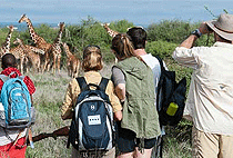 Hiking Sleeping Warrior Ugali Hills Lake Elementaita Day Trip