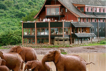 8 Days Kenya Safari Amboseli Aberdare Nakuru Masai Mara