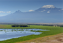 8 Days Kenya Safari Amboseli Aberdare Nakuru Masai Mara