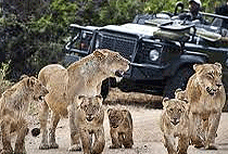 8 Days Kenya Safari Samburu Aberdare Nakuru Masai Mara