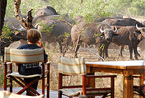 8 Day Kenya Safari Aberdare Samburu Baringo Nakuru Masai Mara