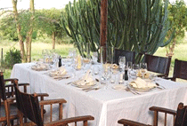 Amani Mara Safari Camp Lodge Masai Mara