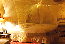 Amani Mara Safari Camp Lodge Masai Mara