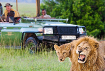 Angama Mara Safari Lodge Masai Mara National Reserve Angama Mara Safari Lodge Masai Mara National Reserve