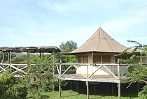 Cheetah Tented Camp Masai Mara