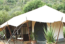 Cottars Bush Villa Masai Mara Cottars Bush Villa Masai Mara