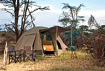 Dorobo Bush Camp Mara Naboisho Dorobo Bush Camp Mara Naboisho